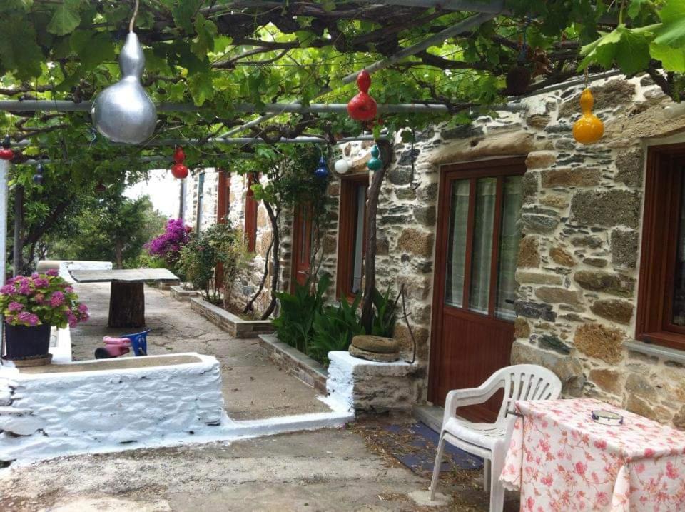 Villa Πέτροκτιστο Σπίτι. Stone House Karystos  Exterior foto